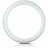 Philips Tube fluo rond G10q 22W 865 Master Circular TL-E^ Tubes Fluorescents