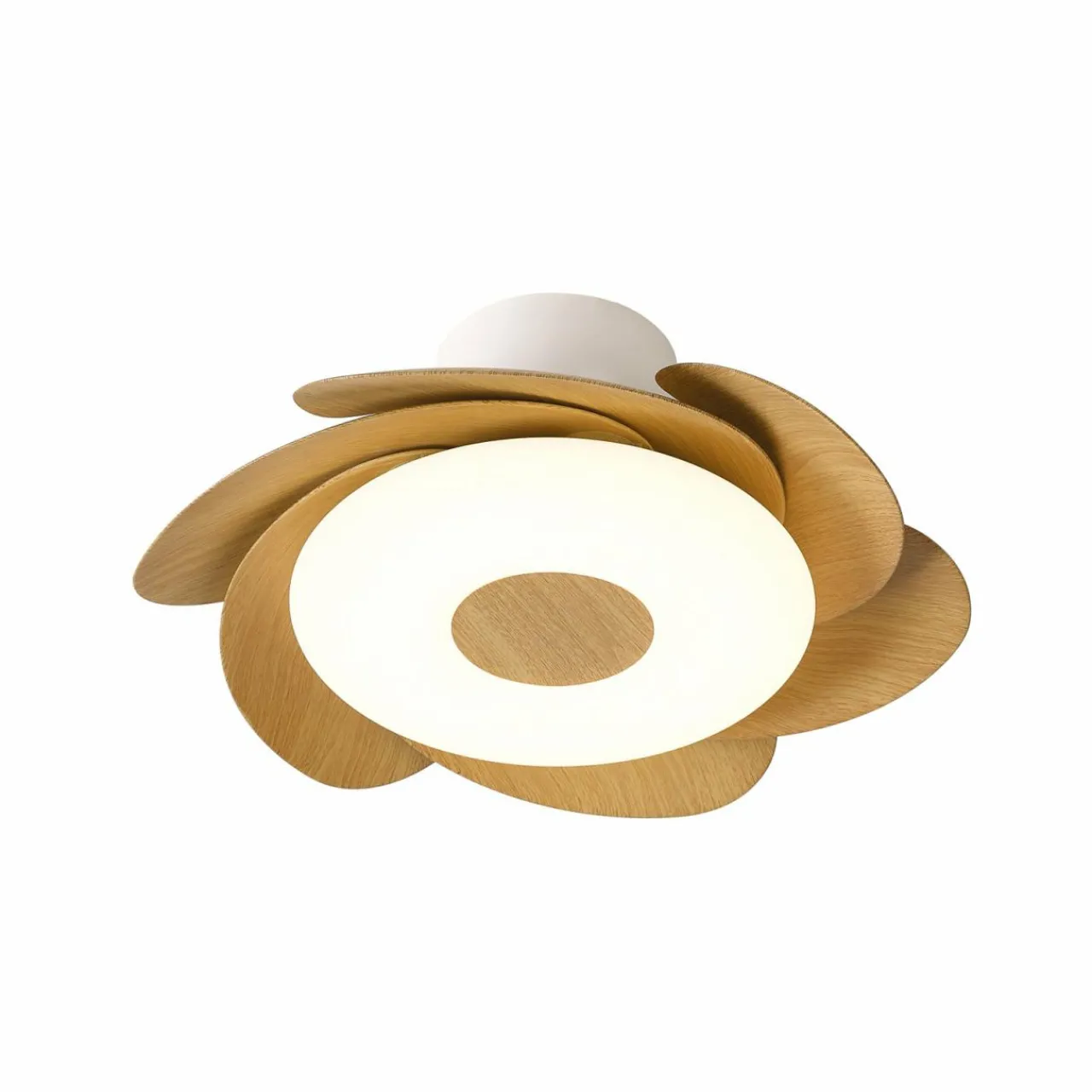 ventilateur_de_plafond_led_flower_bois_moteur_dc_silencieux___cm_cct_0.webp Mantra Iluminación Ventilateur de plafond LED Flower bois moteur DC silencieux Ø 79 cm CCT^ Ventilateurs