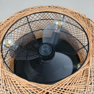 Reality Leuchten Ventilateur de plafond Lillesand avec lumière, silencieux, Ø 50 cm, télécommande^ Ventilateurs